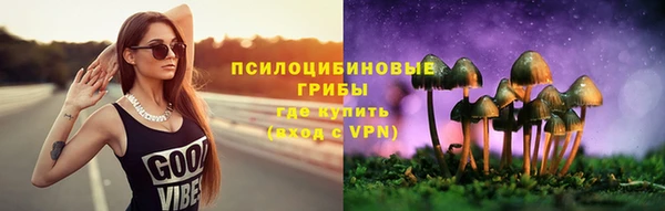 mdpv Михайлов